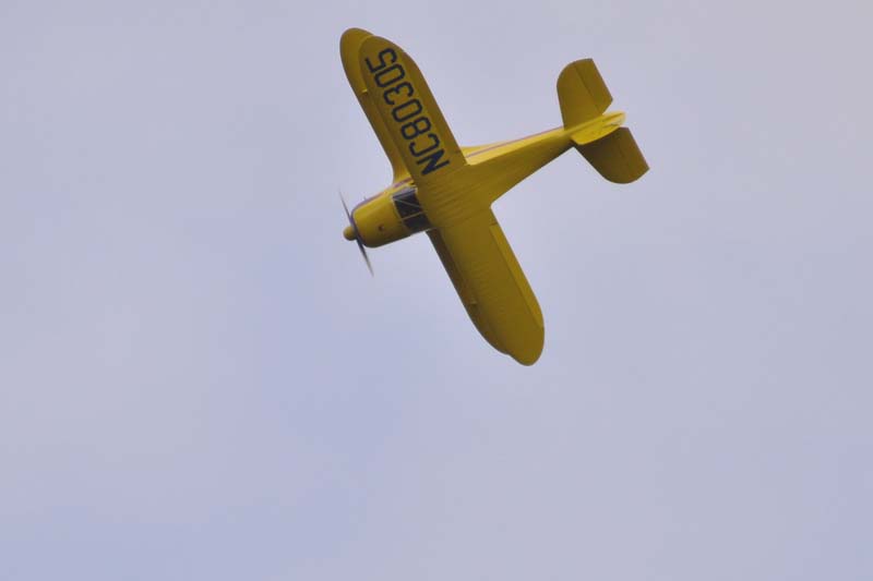 DSC_0205em